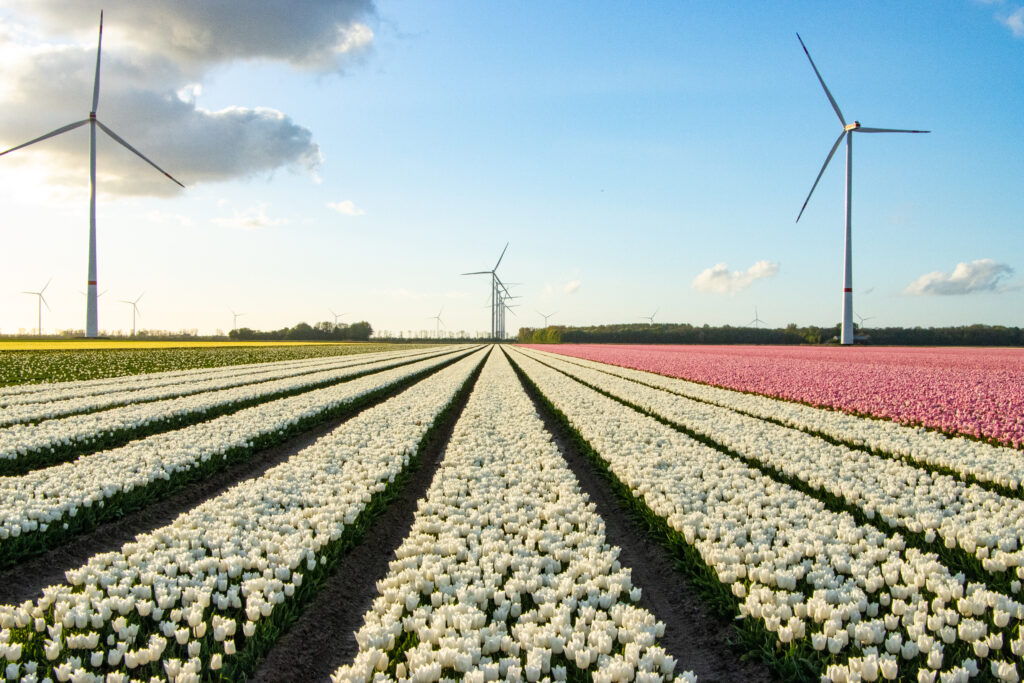 Natuurfotografie | LumosLenswork