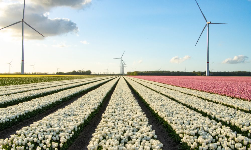 Natuurfotografie | LumosLenswork